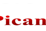 Conocemos el sexshop Picansex.com